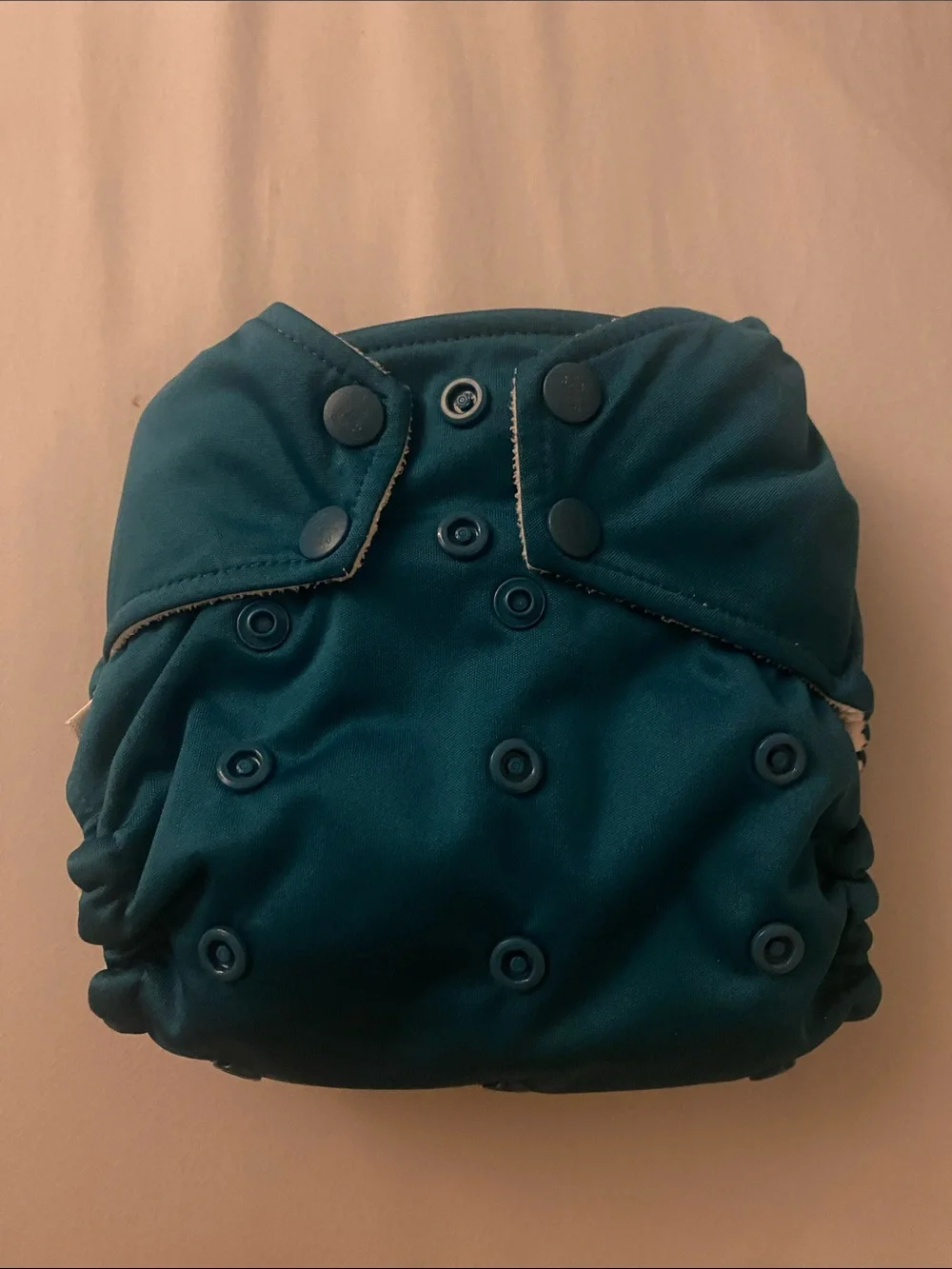 Lot of Cloth Diapers & Inserts